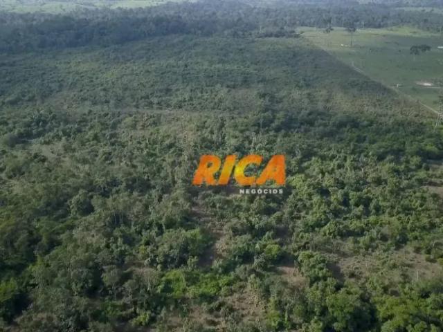Fazenda venda em Região Geográfica Imediata de Porto Velho, Porto Velho