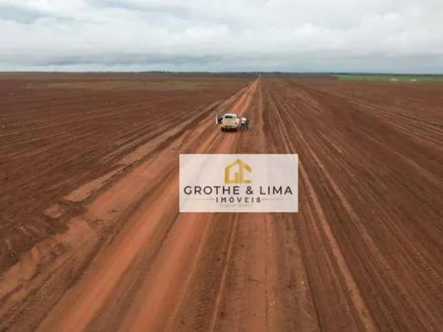 Fazenda venda em Região Geográfica Imediata de Guaraí, Pedro Afonso