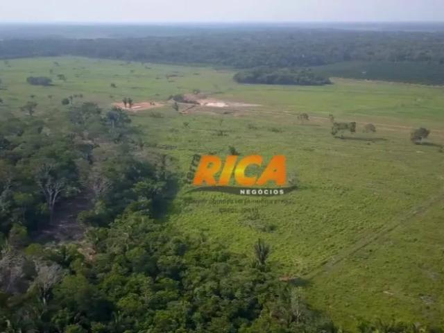 Fazenda venda em Região Geográfica Imediata de Porto Velho, Porto Velho