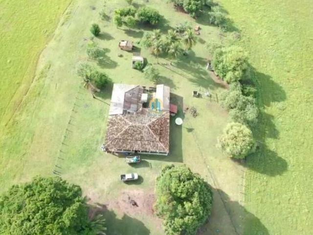 Sítio e chácara venda em Região Geográfica Imediata de Cáceres, Antônio João