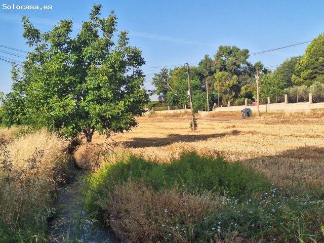 Local Comercial en venta en Urbanización Torre del Pinar, Zaragoza