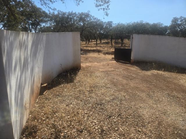 Quinta venda em Fronteira, Portalegre