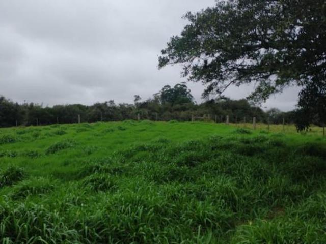 Terreno venda em Região Geográfica Imediata de Porto Alegre, Região Metropolitana de Porto Alegre