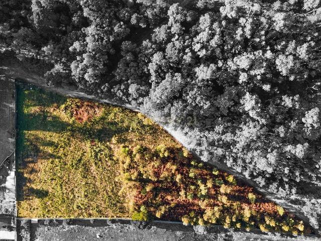 Terreno venda em Carvalhosa, Porto