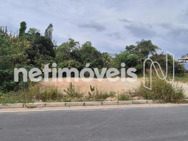 Terreno venda em Tupã, Contagem