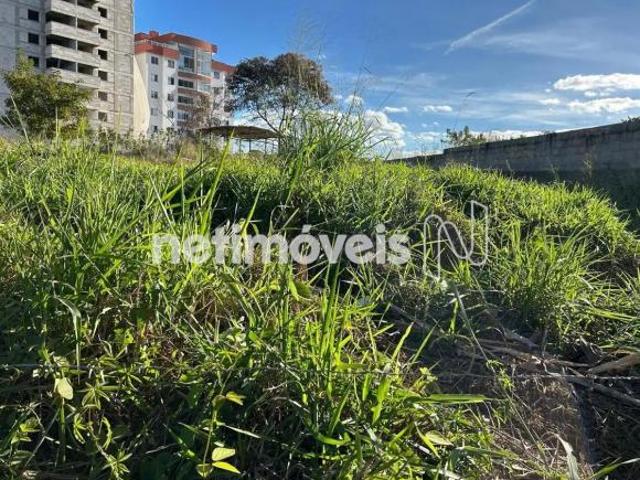 Terreno venda em Região Geográfica Imediata de Belo Horizonte, Região Metropolitana de Belo Horizonte