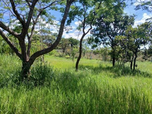 Terreno venda em Região Geográfica Imediata do Distrito Federal, Região Integrada de Desenvolvimento do Distrito Federal e Entorno
