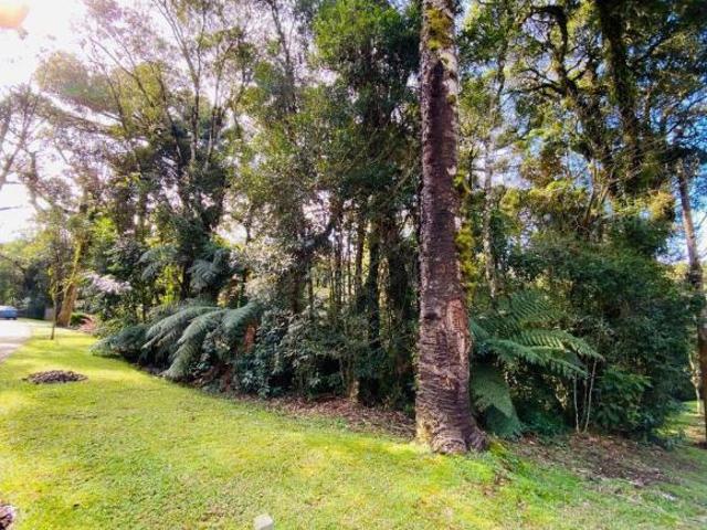 Terreno venda em Região Geográfica Imediata de Caxias do Sul, Canela