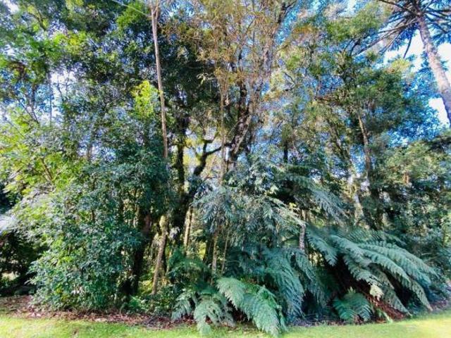 Terreno venda em Região Geográfica Imediata de Caxias do Sul, Canela
