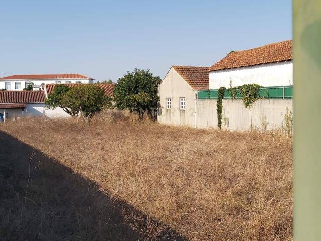 Terreno venda em Porto De Mós, Leiria