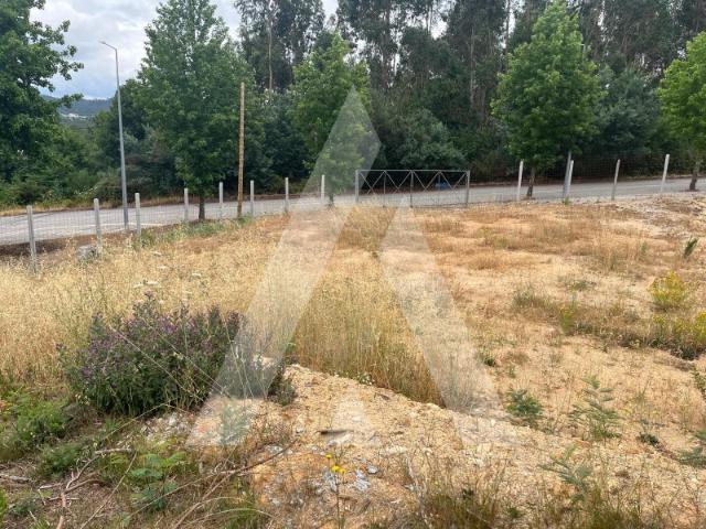 Terreno venda em Monte Salvado, Viseu