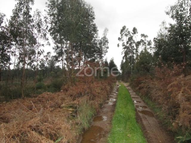 Terreno venda em Fradelos, Gavião