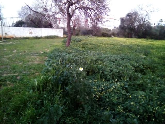 Terreno venda em Loulé, Faro