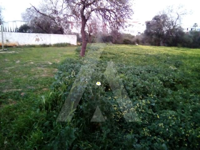 Terreno venda em Loulé, Faro
