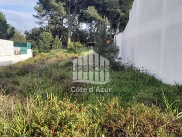 Terreno venda em Azeitão (São Lourenço e São Simão), Setúbal