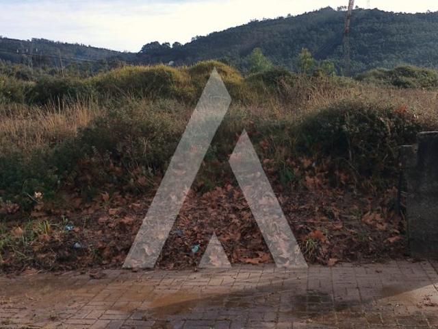 Terreno venda em Viana Do Castelo