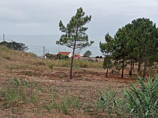 Casa venda em Pederneira, Leiria