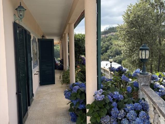 Casa venda em Castro Daire, Viseu