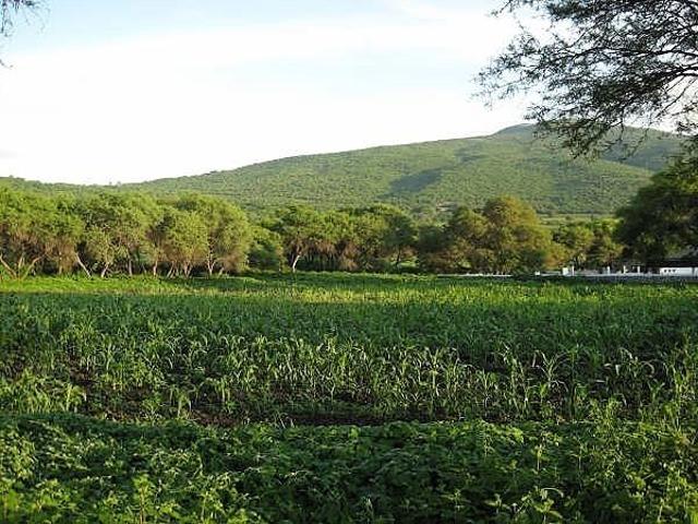 Rancho en venta en Yuriria, Guanajuato