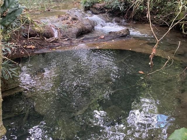 Rancho en venta en Palenque, Chiapas