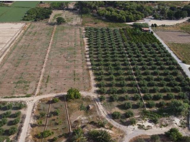 Local Comercial en venta en el Baix Segura / La Vega Baja, Valencia