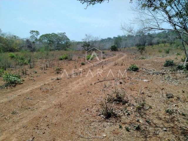 Terreno en venta en González, Tamaulipas