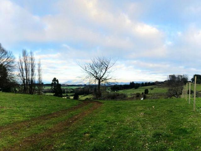 Terreno en venta en Lago Ranco, Los Ríos