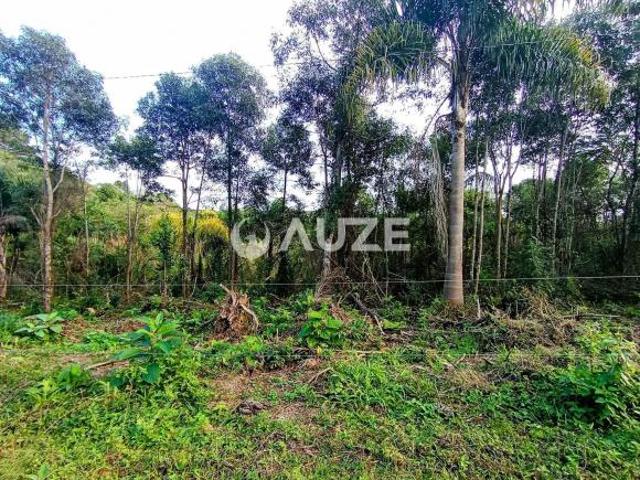 Sítio e chácara venda em Região Geográfica Imediata de Curitiba, Região Metropolitana de Curitiba