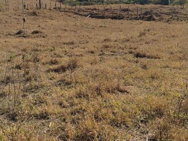 Sítio e chácara venda em Região Geográfica Imediata de Oliveira, Piedade dos Gerais