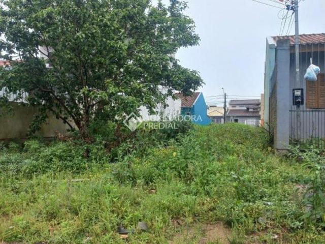Terreno venda em Região Geográfica Imediata de Goiás - Itapuranga, Nova Crixás