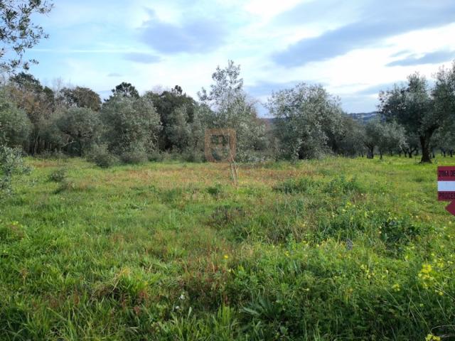 Terreno venda em Donairia, Leiria