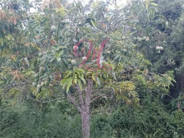 Terreno venda em Região Imediata de Jundiaí, Campo Limpo Paulista