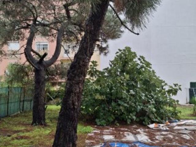 Terreno venda em Sesimbra, Setúbal