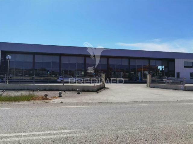 Armazém venda em Santarém