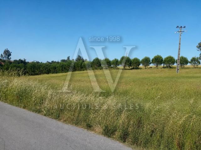 Terreno venda em Arnal, Leiria