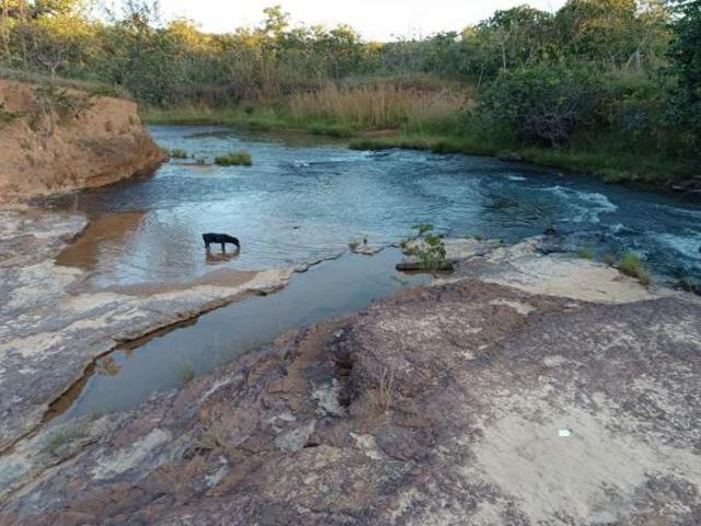 Sítio e chácara venda em Região Geográfica Imediata de Unaí, Região Integrada de Desenvolvimento do Distrito Federal e Entorno