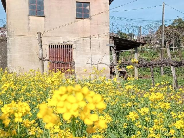 Terreno venda em Grovelas São João Evangelista, Viana Do Castelo
