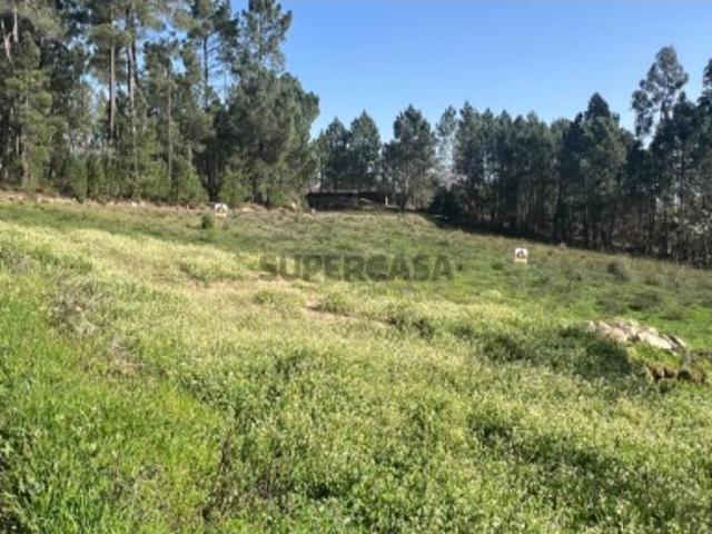 Terreno venda em Viseu