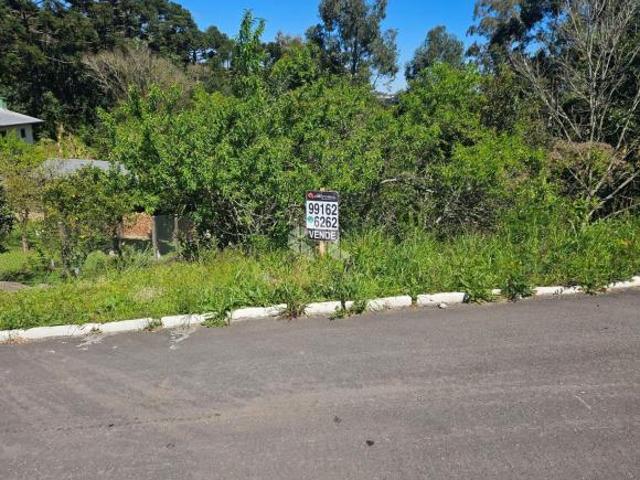 Terreno venda em Garibaldi