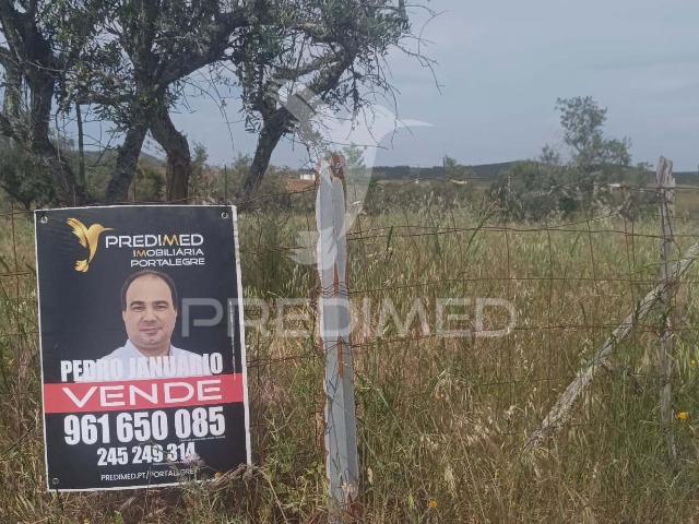 Terreno venda em Nisa, Portalegre