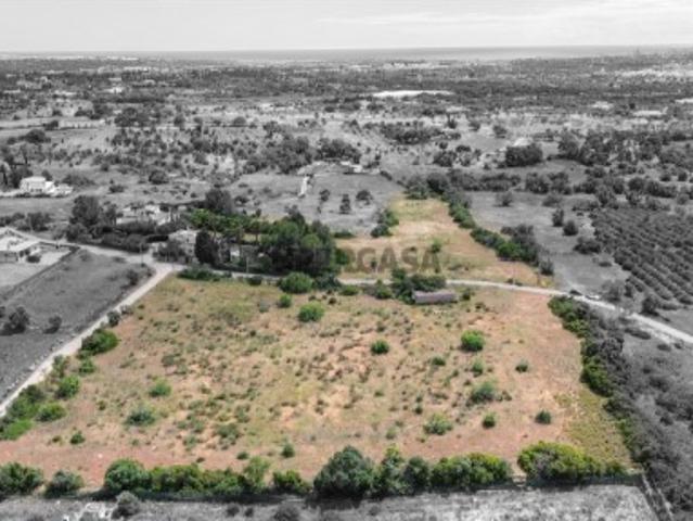 Terreno venda em Pêra