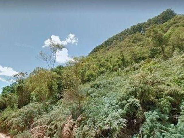 Sítio e chácara venda em Região Geográfica Imediata de Itajubá, Piranguçu