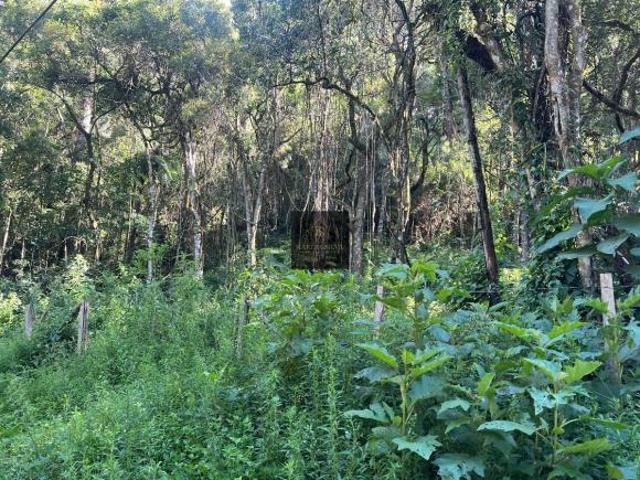 Terreno venda em Região Imediata de Taubaté-Pindamonhangaba, Região Metropolitana do Vale do Paraíba e Litoral Norte
