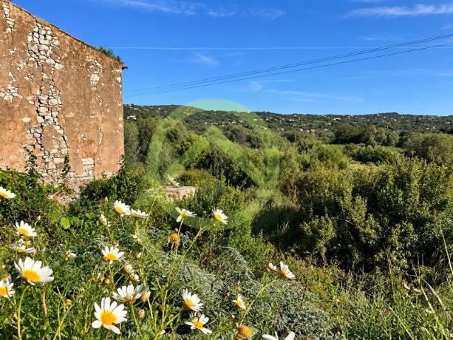 Terreno venda em Loulé, Faro