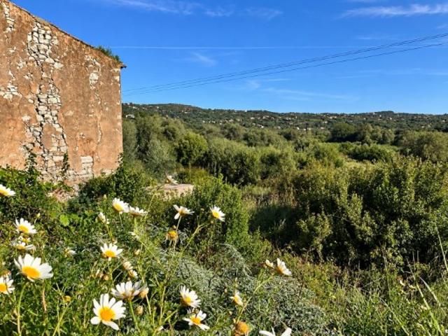 Terreno venda em Loulé, Faro