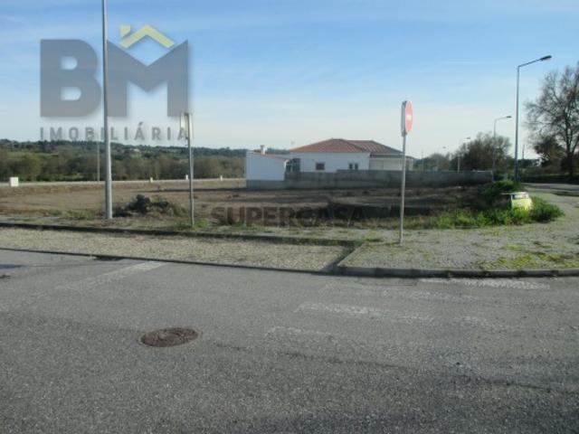 Terreno venda em Castelo Branco