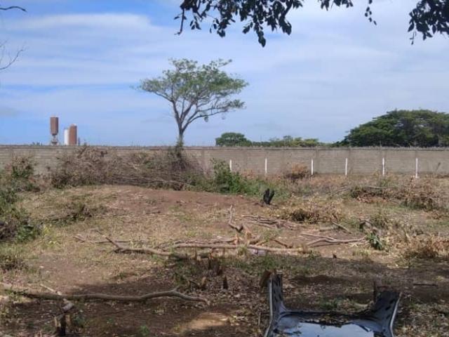 Terreno en venta en Silva, Falcón