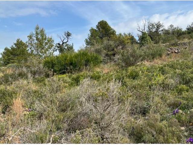 Local Comercial en venta en la Plana Alta, Valencia