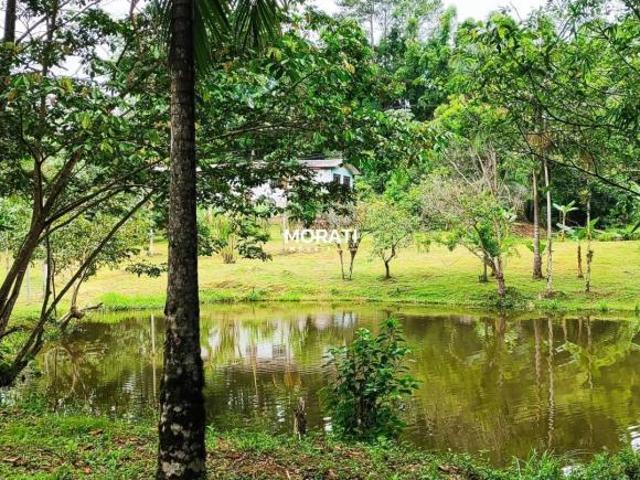 Sítio e chácara venda em Região Geográfica Imediata de Paranaguá, Morretes