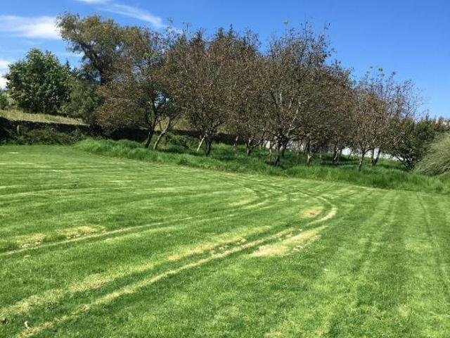 Excelente propiedad para un rancho hípico